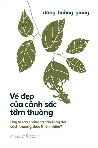 Vẻ Đẹp Của Cảnh Sắc Tầm Thường