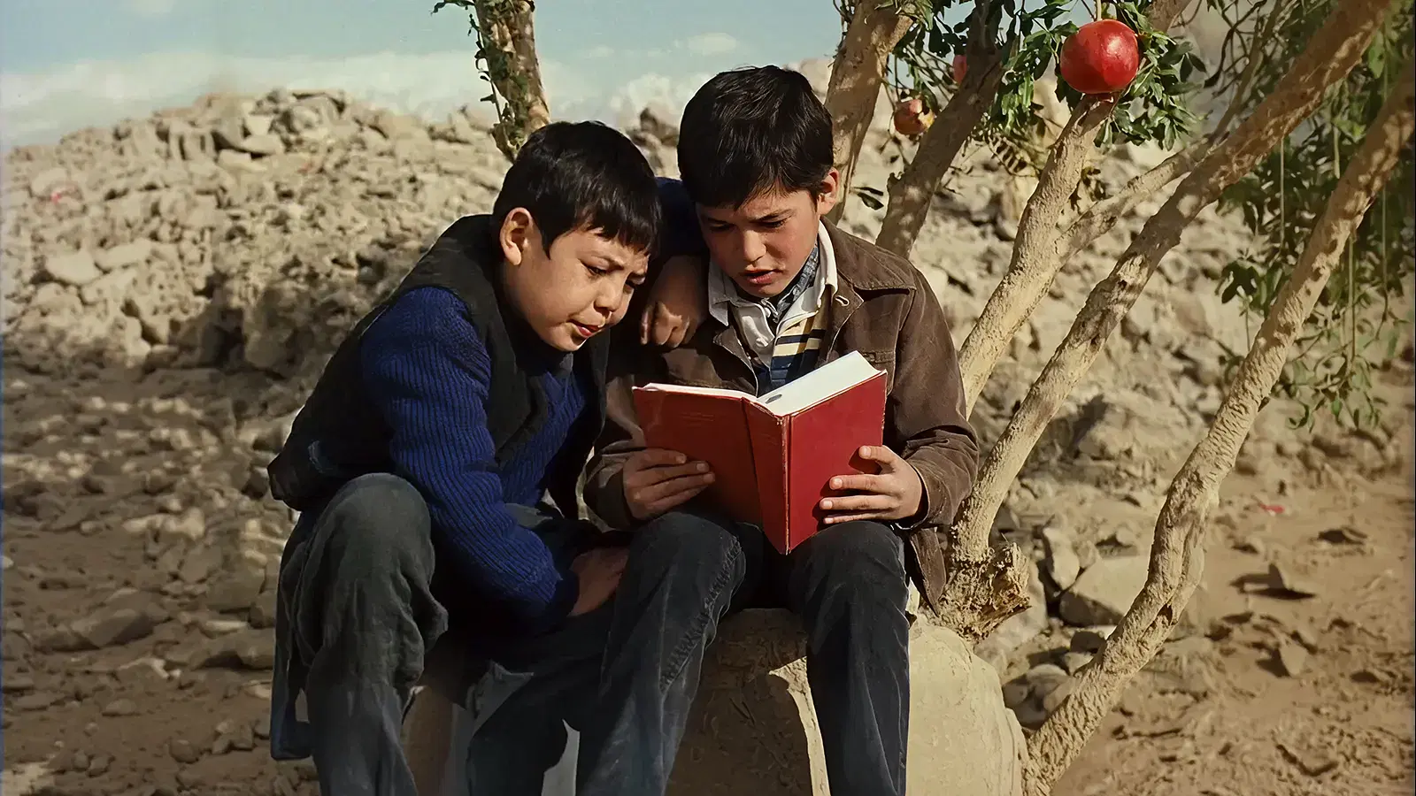 Người Đua Diều – The Kite Runner