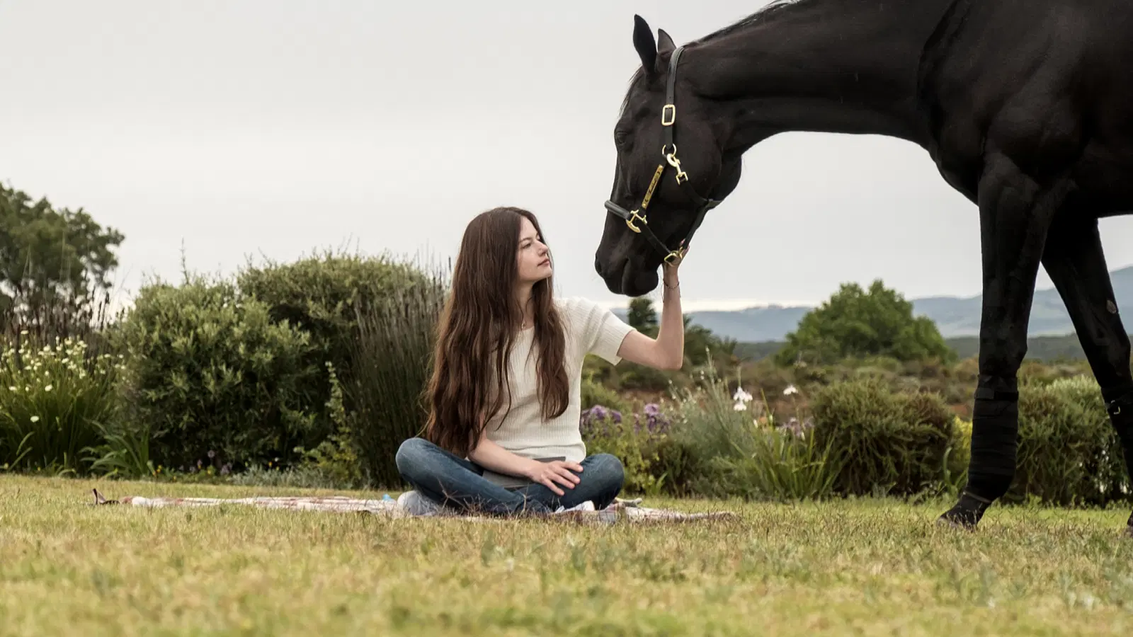 Chú Ngựa Khiến Cả Thế Giới Thay Đổi