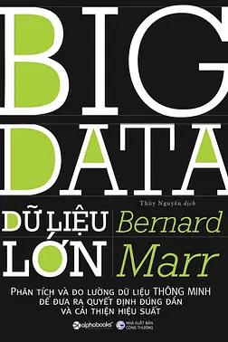 Big Data Dữ Liệu Lớn