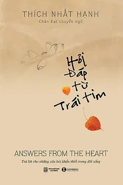 Hỏi Đáp Từ Trái Tim